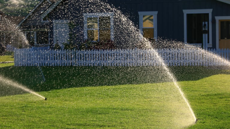 Lawns are the No. 1 irrigated ‘crop’ in America. They need to die.